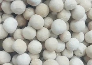 کشک محلی